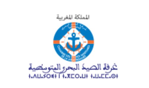 مهنيو الصيد البحري بالشمال ..سلوك الرئيس التونسي تجاه المغرب يصادر حلم شعوب المنطقة التواقة إلى التكامل والاندماج