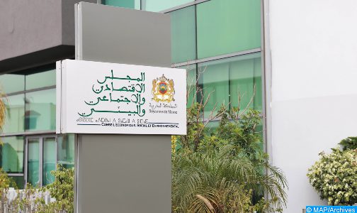 استشارة المجلس الاقتصادي والاجتماعي والبيئي: 89 بالمئة من المشاركين يعتبرون أن العمل عن بعد سيفرض نفسه كنمط جديد للعمل
