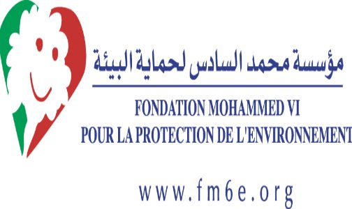 الأمم المتحدة.. مؤسسة محمد السادس لحماية البيئة، التي تترأسها صاحبة السمو الملكي الأميرة لالة حسناء، تشارك في قمة تحويل التعليم
