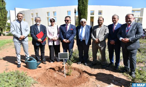 الرباط.. غرس شجرة صنوبر أخضر تجسيدا لعلاقة الصداقة بين المعهد الملكي للثقافة الأمازيغية وسفارة بولونيا بالمغرب