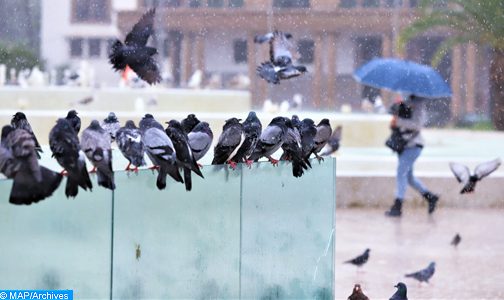 زخات رعدية قوية مصحوبة بهبات رياح مرتقبة يومي الإثنين والثلاثاء بعدد من أقاليم المملكة