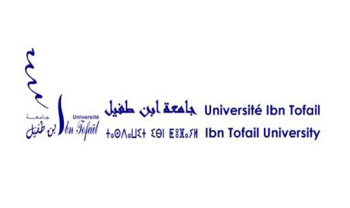 التصنيف الدولي للجامعات 2023.. جامعة ابن طفيل تتميز على الصعيد الوطني