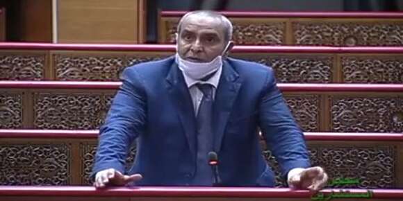 دفاعا عن البرلماني لحبيب بن الطالب وقطته! المواطن المغربي قادر على التصويت لأم أربع وأربعين شرط أن تكون غنية ومن الأعيان