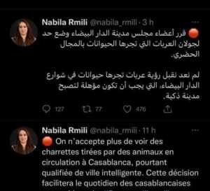 تغريدة الرميلي
