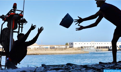 قطاع الصيد البحري .. مجموعة من الإجراءات لضمان الاستغلال المستدام للأسماك السطحية الصغيرة