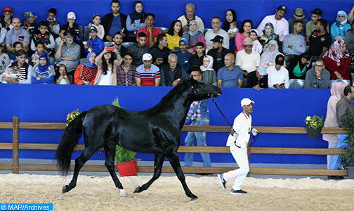 الملتقى الدولي لسباقات الخيول.. تتويج الفرس فولفر بالجائزة الكبرى لصاحب الجلالة الملك محمد السادس للخيول الإنجليزية الأصيلة