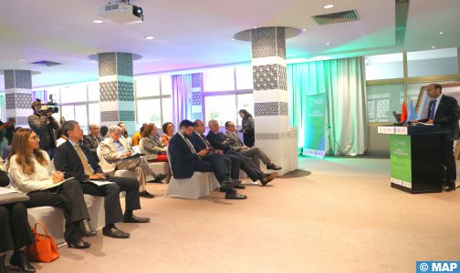 “برنامج الشراكة للعمل من أجل الاقتصاد الأخضر ” يتماشى مع توصيات النموذج التنموي الجديد (وزارة)