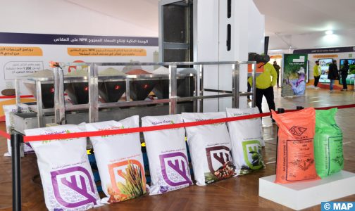 آلية “المثمر المتنقل” الموجهة لزراعة الزيتون تحط الرحال ببني ملال