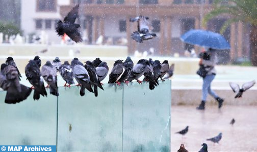 أمطار قوية أحيانا رعدية وتساقطات ثلجية مرتقبة يومي الخميس والجمعة بعدد من مناطق المملكة (نشرة إنذارية)