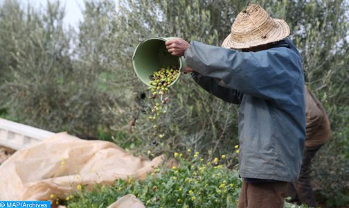 مباردة المثمر.. إطلاق آلية متنقلة موجهة لزراعة الزيتون انطلاقا من جماعة العطاوية