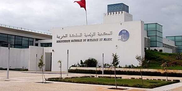 واش زبايل التهاني عطات ريحتها فالمكتبة الوطنية.. تقرير كحل وصل للوزير بنعسيد ونقابة كدش بغات الضوسي يتحال على النيابة العامة