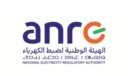 إجماع برلماني على نجاح الهيئة الوطنية لضبط الكهرباء في مهامها التأسيسية