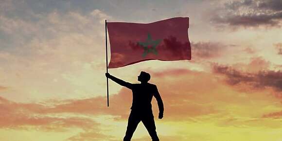 الطيور والنجوم وشواحن الهاتف ترد على البرلمان الأوربي! عريضة يجمع موقعوها على أن الصحافة في المغرب بخير وأننا غارقون في الحرية