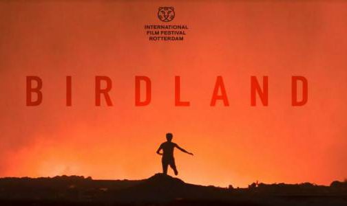 فيلم “Birdland” لليلى كيلاني يشارك في المسابقة الرسمية لمهرجان روتردام