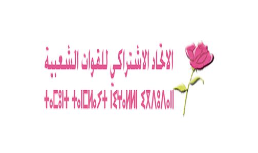 الاتحاد الاشتراكي للقوات الشعبية يثمن المكتسبات التي حققها المغرب بالتواجد في كل جبهات الدفاع والترافع (نداء العيون)