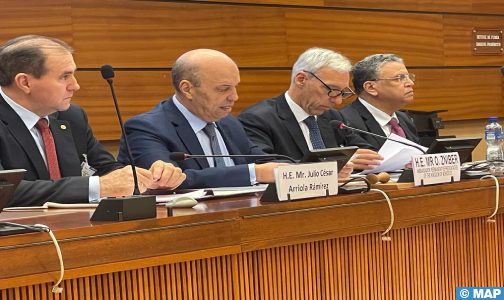 تفعيلا لإعلان مراكش..نحو شبكة للآليات الوطنية لتنفيذ وإعداد التقارير في مجال حقوق الانسان