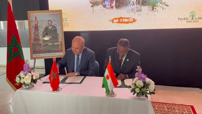 أكادير: إبرام اتفاقية لتعزيز التعاون الثنائي بين المغرب والنيجر للحفاظ على التنوع البيولوجي + صور 7 10