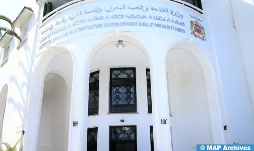 الجائزة الكبرى للصحافة في المجال الفلاحي والقروي : تمديد أجل إيداع الترشيحات (وزارة)