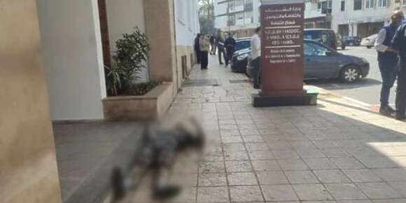 أخيرا أصبح لدينا شهيد “الريع”. الله يرحم الفنان أحمد جواد والله يعفو علينا من آفة الدعم والعطاء