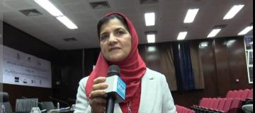 بلاغة تشبيه التمثيل في القرآن الكريم ووظيفته الإقناعية