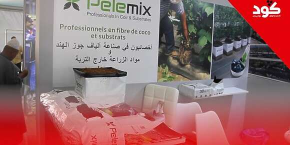 الفيروس لي كيقتل ماطيشا.. مسؤول فشركة إسرائيلية جابت حلول للفلاحة لـ”كود”: جبنا تقنية باش نحميو التربة من فيروس خطير كيضرب ماطيشا وحنا 15 عام خدامين باسم إسرائيل فالمغرب (فيديو)