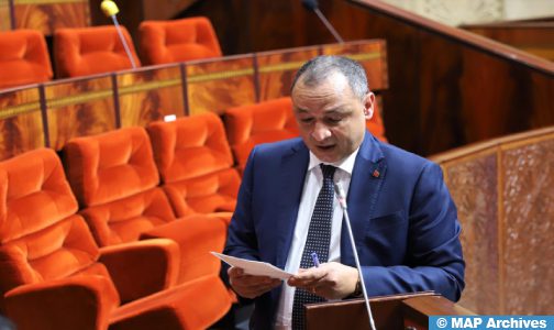 بنك المشاريع.. 180 مشروعا صناعيا لتثمين المواد المعدنية (السيد مزور)
