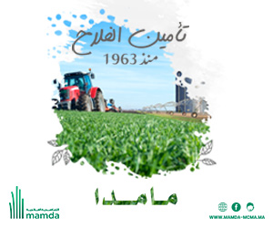 Vinkmag ad