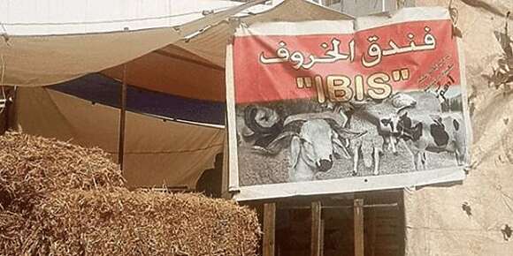 الذبح في المنازل والإقامات خاصو يتمنع لي عندو فيلا والجردة يذبح لي معندوش ياخد حوليه للمذابح الخاصة تما يذبحوه ليه ويقطعوه ويغسلوه ويعطيوه ليه مقاد ويروح لدارهم يعركها شحمة ولحم، أما هاد الكارثة ديال الذبيح وسط العمارات لي البعض منهم ماصالحينش للعيش الآدمي مابقى غير تحوللهم لباطوار