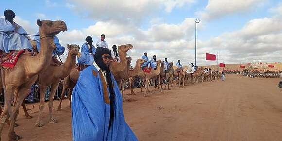 التبوريدة وسباق الهجن ميزات الأنشطة فافتتاح موسم الموكار فطانطان –تصاور