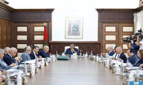 مجلس الحكومة .. فوزي لقجع يقدم مشروع مرسوم يتعلق بالمراقبة المالية للدولة على المنشآت العامة