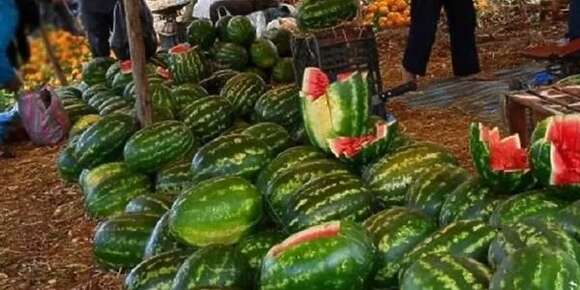 ها علاش الدلاح كثير وموجود فالسوق قبل وقتو