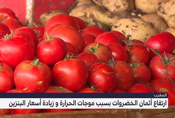 ارتفاع أسعار الطماطم يثير غضب المستهلكين المغاربة(فيديو) 2 26tomatesSans titre 4