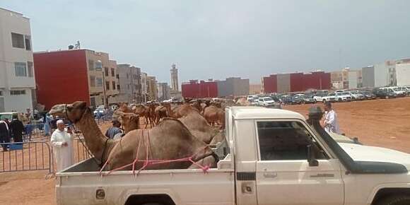 بايتاس. الناطق الرسمي باسم الهدية.. خاص ضريبة على الهدايا لي كيتوصلو بيها الوزراء