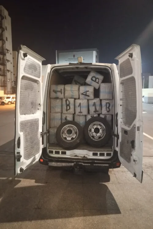 مخدر الحشيش