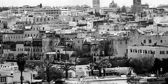 أحسن جيل ديال الشباب داز فالمغرب لحد السّاعة هوا الجيل ديال دابا! الجيل لّي وصل لنصف نهائي كاس العالم، جيل الذكاء الاصطناعي والتجارة الاليكترونية وكبّسوا والملاين داخلة فالتيكطوك واليوتوب، جيل كايحارب الفقر بجميع السبل، بلا مايغمقو عليكم بديك الهضرة ديال “قالو ناس زمان”! كون طفروه ناس زمان گاعما نتمرمدو حنا!