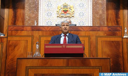 السيد صديقي: التنزيل الأمثل لاستراتيجية الفضاء الغابوي يقتضي تحيين القوانين المنظمة