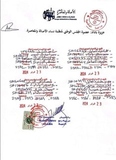 16 عضوا من حزب الأصالة والمعاصرة بالعيون يجمدون عضويتهم في الحزب 10 JS41S