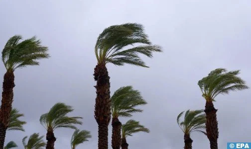 أمطار رعدية وتساقطات ثلجية ورياح قوية مرتقبة من الخميس إلى السبت بعدد من مناطق المملكة (نشرة إنذارية)