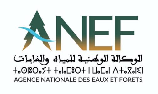 اعتماد مبادرة المغرب حول “حيوانات الساحل والصحراء ذات الحجم الكبير”