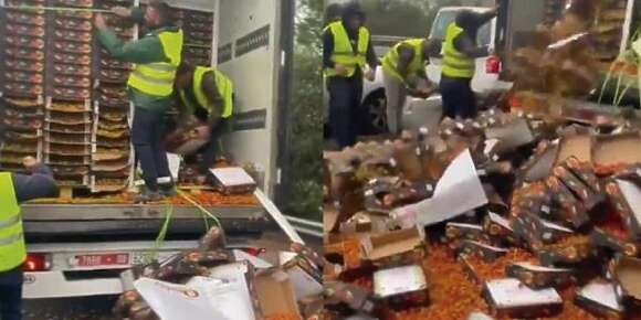 ها هما بداو فتاهيماجيت ديالهم.. مزارعين متعصبين فالصبيلون تعرضو لكاميو مشارجي بمئات الصنادق ديال مطيشة المغربية ولاحوها فالارض
