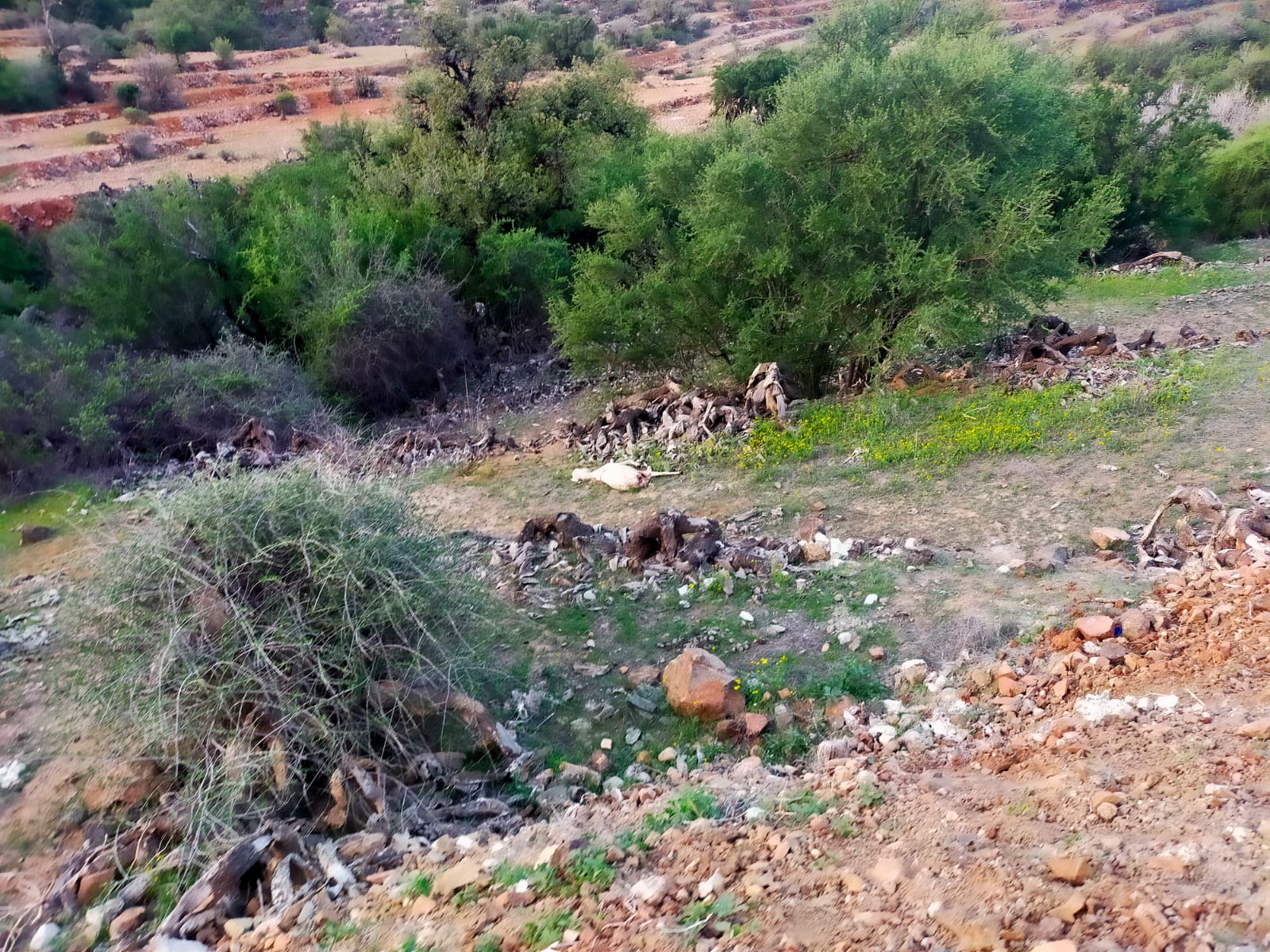 IMG 20240307 WA0015