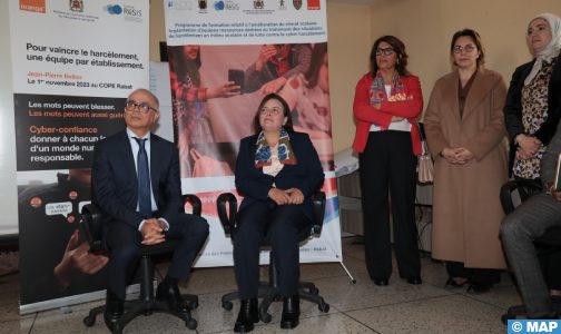 التكوين في مجال تحسين البيئة المدرسية يروم حماية التلاميذ من التحرش السيبراني والتنمر (السيد بنموسى)
