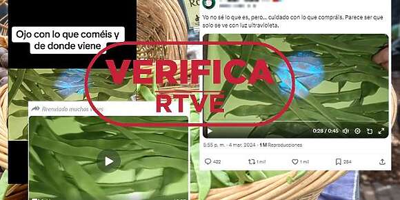 بسباب انتشار فيديو “فايك” على الجلبانة المغربية فالصبليون.. “RTVE”: اللي تقال كلو كذوب