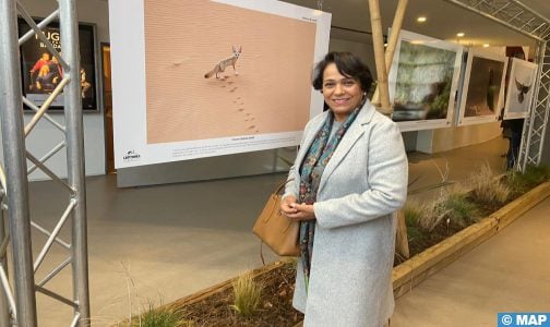 مصورة الحياة البرية حليمة بوصادق تعرض أعمالها في درانسي