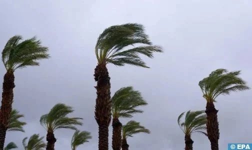 هبات رياح قوية مع تطاير للغبار اليوم الخميس وغدا الجمعة بعدد من مناطق المملكة (نشرة إنذارية)