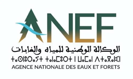 إطلاق النسخة الثانية من مسابقة “Green Start up” لدعم المشاريع الخضراء