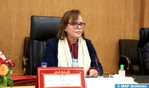 مشروع المرسوم المتعلق بمنح بطاقة شخص في وضعية إعاقة “جاهز” وسيعرض قريبا على مجلس الحكومة (وزيرة)