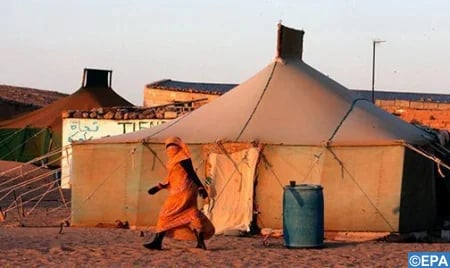 منظمة حقوقية شيلية..البوليساريو عامل مزعزع للاستقرار في منطقة شمال إفريقيا برمتها