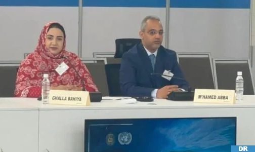 الصحراء.. السيدة غلا بهية تبرز الدعم الدولي المتنامي لمخطط الحكم الذاتي