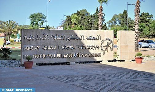 المعهد الملكي للثقافة الأمازيغية يحتفي باليوم العالمي للتنوع الثقافي من أجل الحوار والتنمية